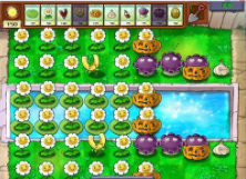 植物大戰(zhàn)僵尸B版官方版3