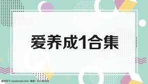 愛養(yǎng)成1合集
