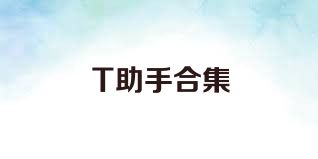 T助手合集