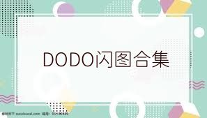 DODO閃圖合集