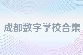 成都數(shù)字學(xué)校合集
