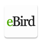 ebird手機(jī)