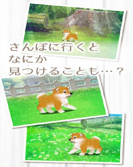 治愈系柴犬育成中文版1