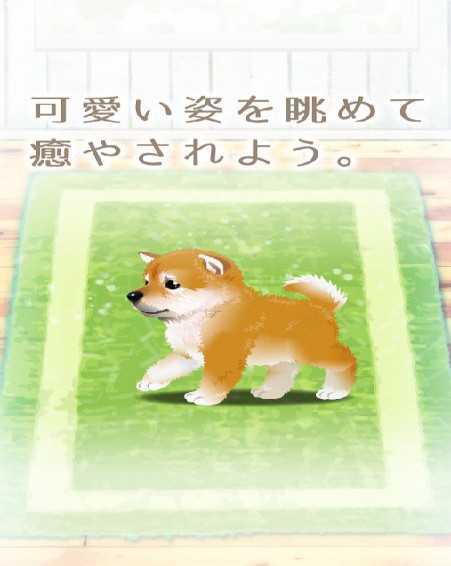 治愈系柴犬育成中文版2