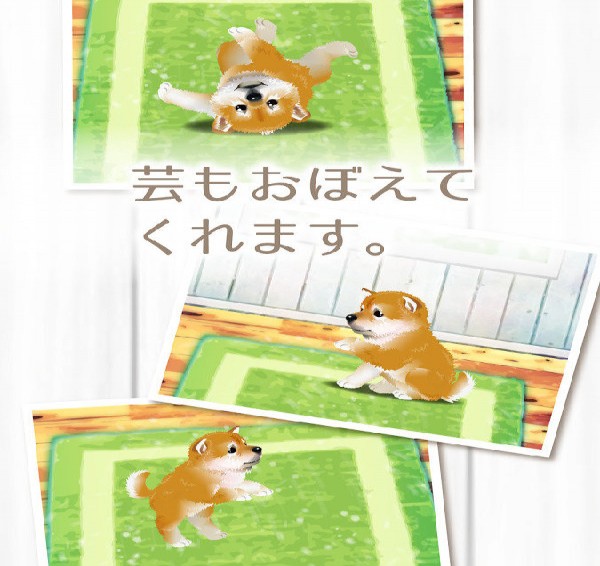 治愈系柴犬育成中文版5