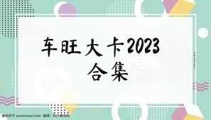 車旺大卡2023合集
