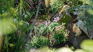 植物園戰(zhàn)爭(zhēng)合集