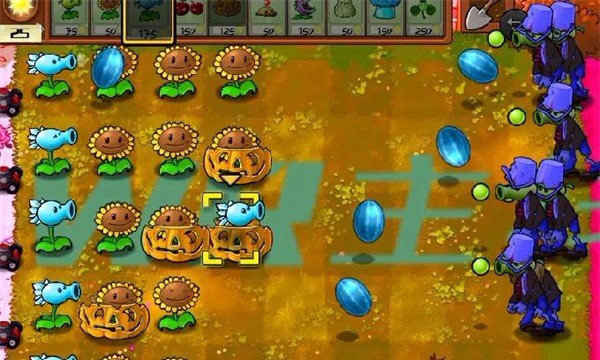 植物大戰僵尸WR版正式版3