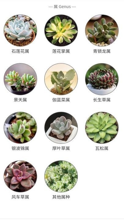 植物君安卓版3