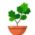 植物日記最新版