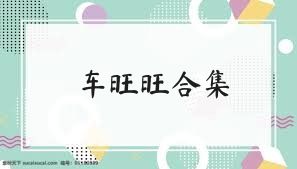 車(chē)旺旺合集