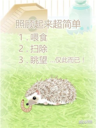 治愈刺猬育成最新版2