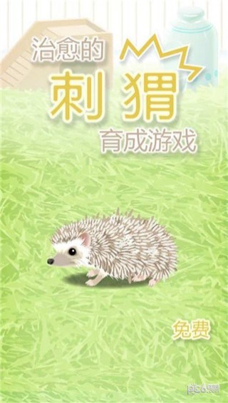 治愈刺猬育成最新版4