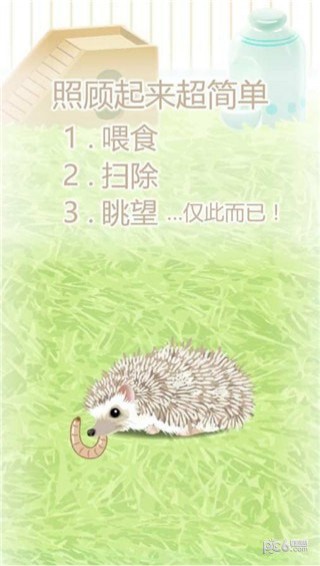 治愈刺猬育成最新版5