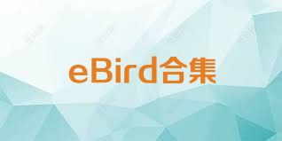 eBird合集
