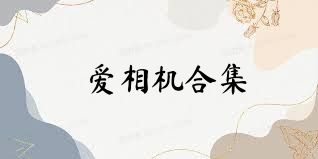 愛相機合集