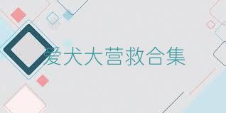 愛犬大營救合集
