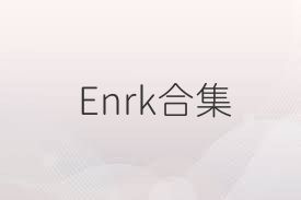 Enrk合集