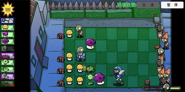 植物大戰(zhàn)僵尸可愛版手機(jī)版3