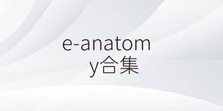 e-anatomy合集
