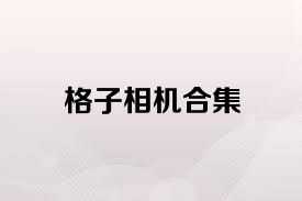 格子相機(jī)合集