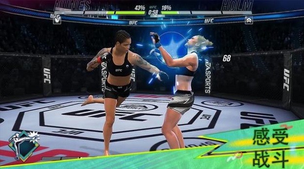 ufc2游戲3