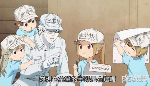 工作細胞中文版4