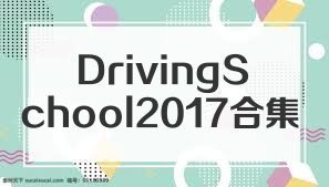 DrivingSchool2017合集