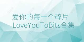 愛你的每一個碎片LoveYouToBits合集