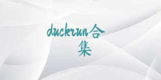 duckrun合集