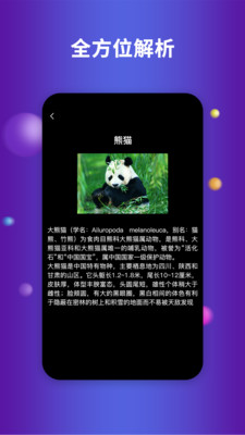 earth地球舊版本3