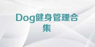 Dog健身管理合集