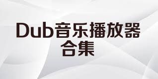 Dub音樂播放器合集