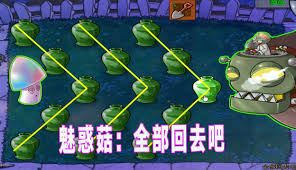 一群小慫雞合集