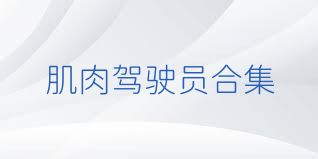 肌肉駕駛員合集