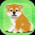 治愈系柴犬育成免費(fèi)版