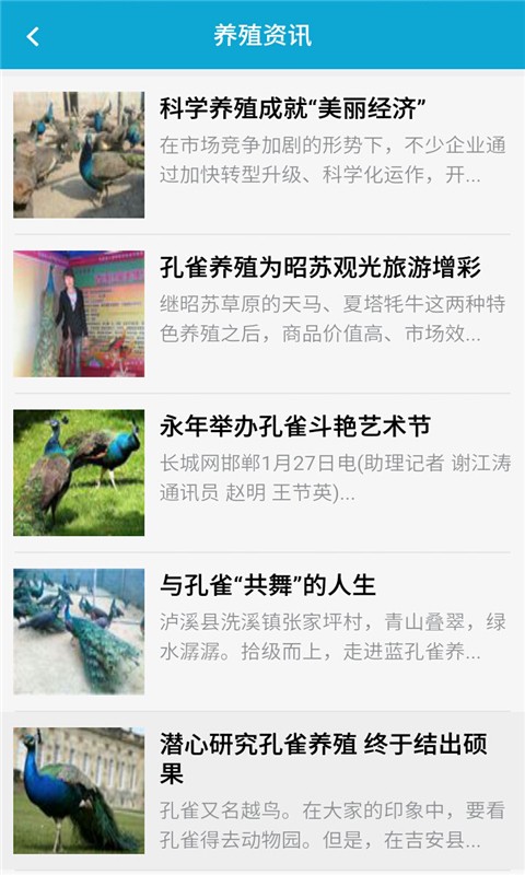 孔雀網(wǎng)1