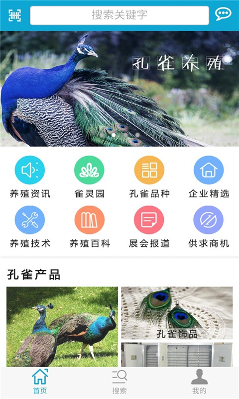 孔雀網(wǎng)2