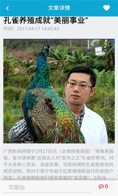 孔雀網(wǎng)3