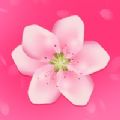桃花聊天app