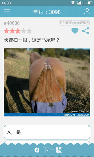 33IQ正式版游戲3
