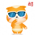 小奶貓