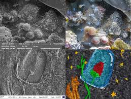 藝海素質(zhì)教育合集