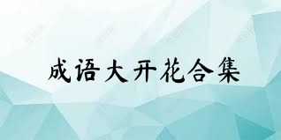 成语大开花合集