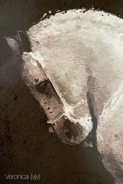 一加8pro秋意紅外相機(jī)濾鏡最新手機(jī)版1