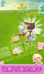 趣賺小肥羊紅包版2