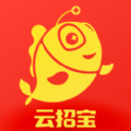 云招寶