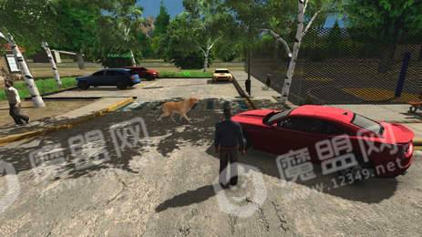 停車(chē)專(zhuān)家3D3