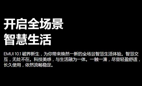 華為EMUI10.1最新公測版2