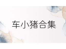 车小猪合集